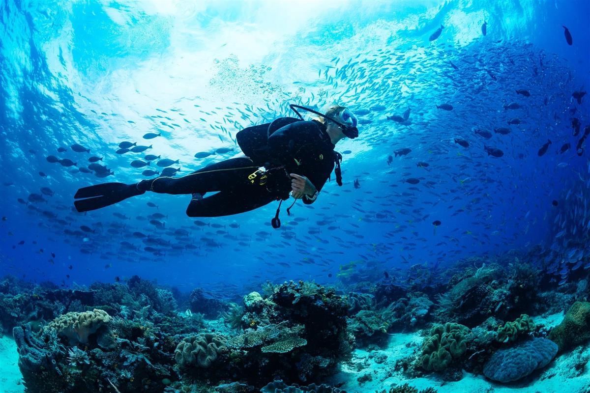 Scuba Diving Hakkında Bilmeniz Gerekenler